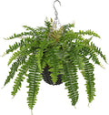 Hollyone 21" Artificial Boston Fern Hanging Basket 31 Leaves Fake Ferns in Rattan Pot Medium Greenery Plants for Outdoors & Indoor Faux Fern Bush Basket Plant Patio Garden Home Decor Green