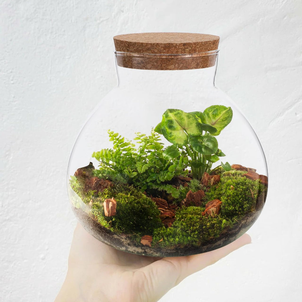Round Glass Jar Terrarium Succulent Plant Terrarium Ball Bud Vases Jars Message Wishes Bottle Candy Jar with Cork Lid for Fern Succulent Air Plants
