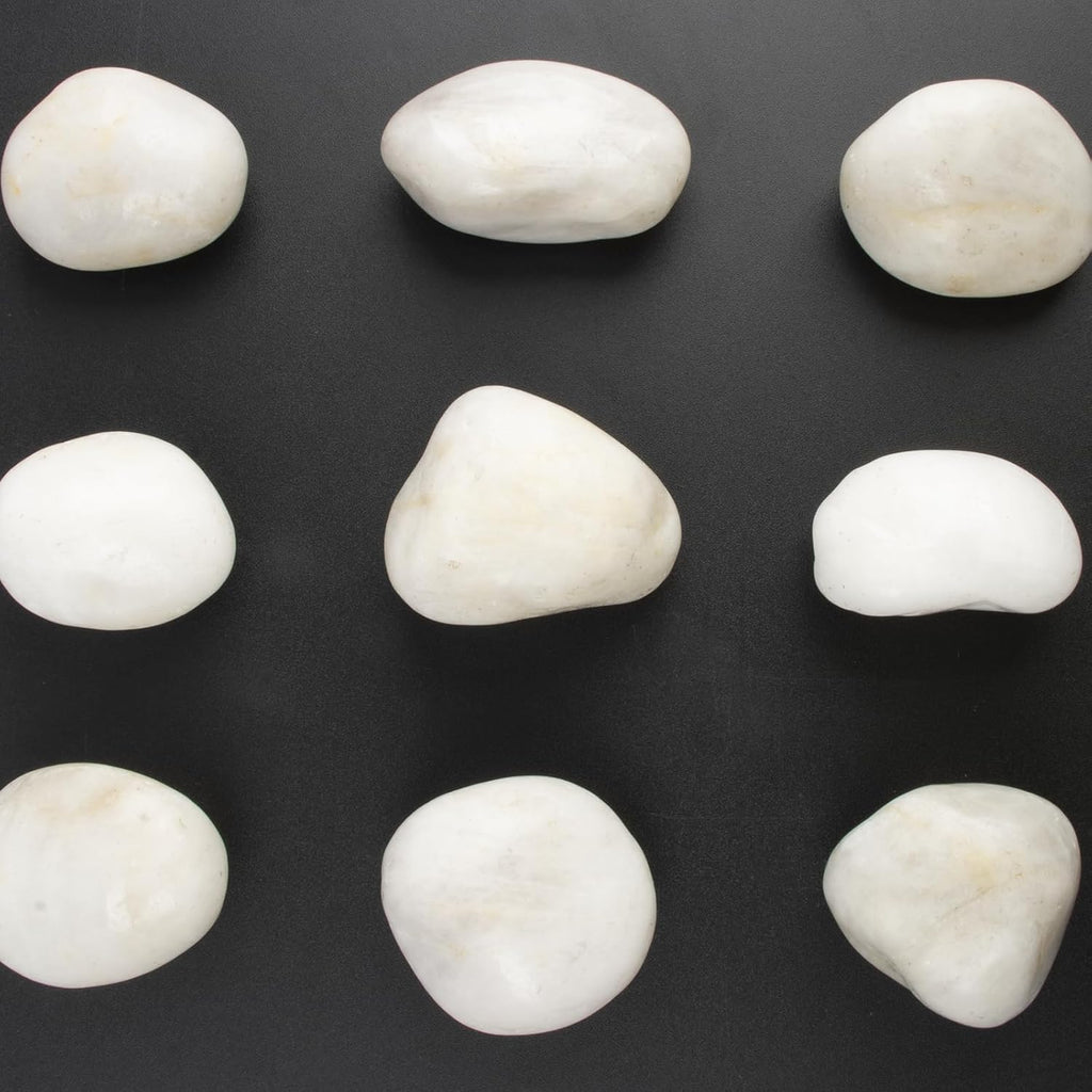 River Rocks - Natural Polished White Pebbles, 2-3 inches, 10 lbs - Ideal for Patio Landscaping, Rock Gardens, Succulent Arrangements, and Pathway Edging (White, Weight: 10 LB)