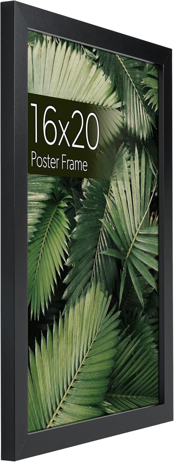 wallsthatspeak Elements 16x20 Picture Frame, Wall Hanging Black Poster Frame Displays Vertically or Horizontally, Includes Durable Plexiglass, Set of 6