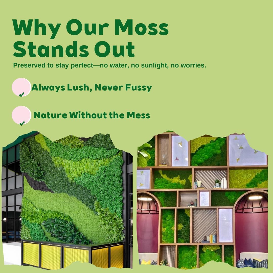 Preserved Moss for DIY Crafts - 1.5 sq.ft Natural Dried Moss for Terrarium, Fairy Garden, Home Decor, Wall Art, Floral Arrangements - Flexible Real for Creative Projects, Light Green