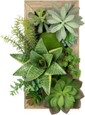 Artificial Succulent Snake Wall Decor Hanging Plants Fake Plants in Rectangle Wooden Frames Faux Plants Wall Boho Decor for Livingroom Bedroom Bathroom Home Office Decor 15.7" x 1.9" x 7.8"