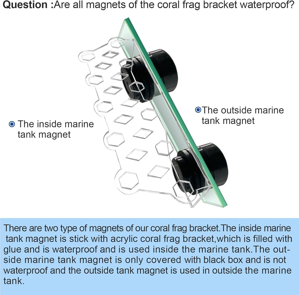 Aquarium Choice Coral Plug Holder Coral frag Rack Magnetic Holder Reef Magnets Holder for frag Racks (Coral Holder with 11 frag Plug)