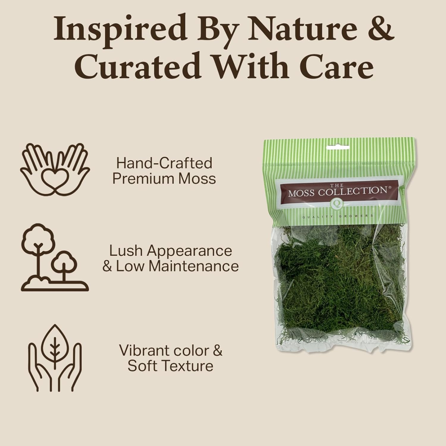 Preserved Sheet Moss - Premium Decorative Moss for Crafts, Home Décor, Art, Design & DIY Projects - Real Moss- Non-Toxic - USA-Made- (2-Pack Small, Green)