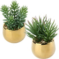Briful Small Artificial Succulents in Pots Set of 2 Realistic Faux Succulents Plants with Gold Ceramic Pots Cute Mini Fake Plants Decor for Modern Home Table Office Desk Bathroom Shelf Decoration