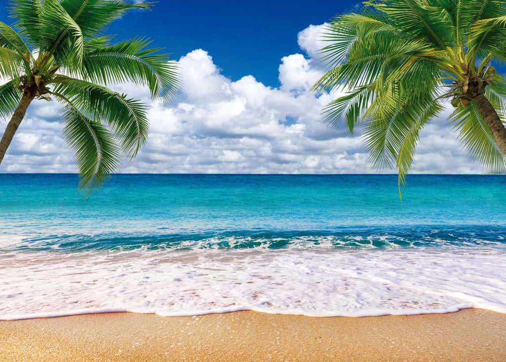 SJOLOON Summer sea Backdrop Tropical Beach Plants Photo Backdrop Hawaiian Ocean Blue Sky Background for Theme Party Supplies Studio Props 12692(10x8FT)