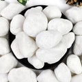 10lb White River Rocks, 2-3 Inch Natural Pebbles for Indoor Plants, Snow White Decorative Stones, Ideal for Fish Tank, Vases, Crafting, Home Decor and Garden Landscaping Rocks