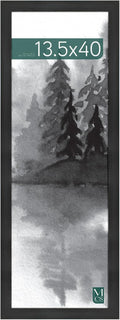 MCS Museum Poster Frame, Onyx, 13.5 x 40 in, Single