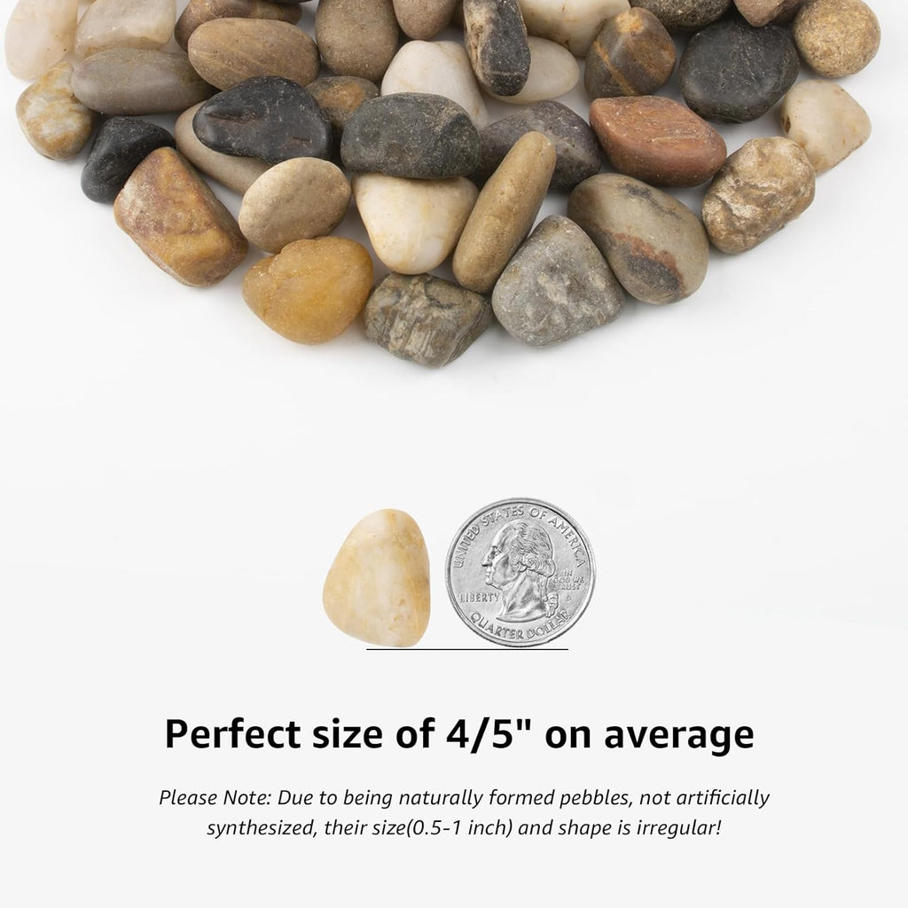 40LB Mixed Stones Pebbles River Rocks, Natural Beach Pebbles,0.5-1 Inch Decorative River Rocks for Landscaping Garden Paving Plant Rocks Crafting Walkways and Outdoor Decorative Stone