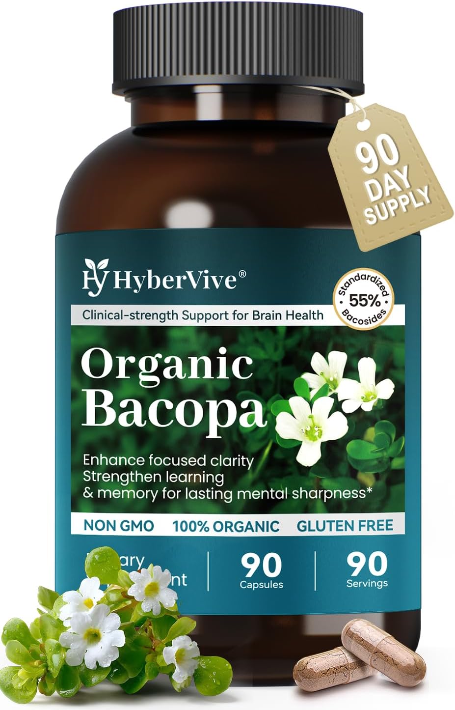 Bacopa Monnieri Supplement 300MG, Organic Nootropic Bacopa Extract, ≥ 55% High Potency Bacosides, Brain & Memory Supplement for Focus and Cognitive Support, Made in USA, 90 Capsules