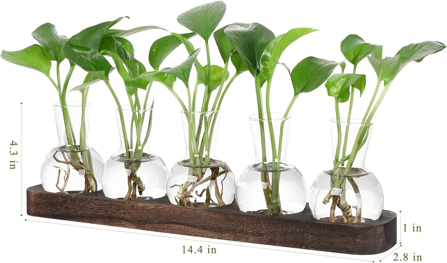 YIBOT Plant Propagation Stations,Glass Propagation Vases for Plants Terrarium with Wooden Tray Plant Lover Gifts for Propagating Hydroponic Plants Home Office Decor(5 Vase)
