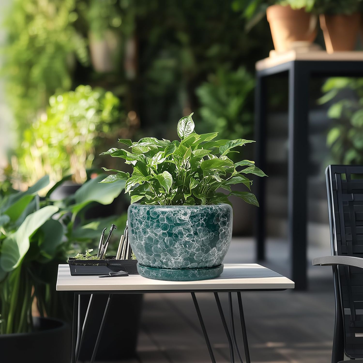 SQOWL 8 Inch Plant Pot - Ceramic Planter for Indoor Plants, Decorative Flower Pot with Drainage Hole and Saucer, Round Planter Outdoor, Room Patio Decor, Garden Gifts for Women, Green