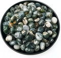 Polished Moss Agate Crystal Chips Set, 0.4", 128 Pcs - Handpicked Tumbled Stones and Crystals Bulk for Healing, Reiki, Meditation, Witchcraft and Home Decor