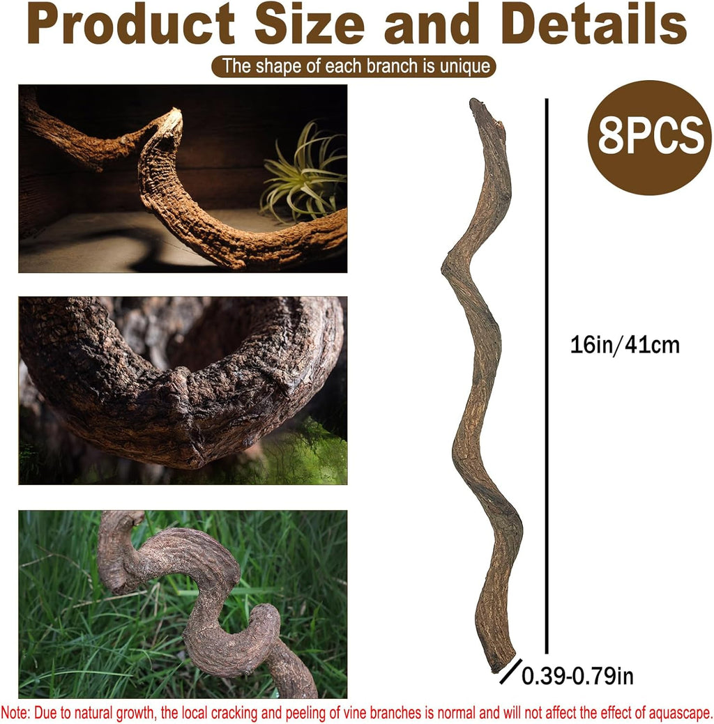 BNOSDM Reptile Forest Climbing Branch Decor 8PCS Crested Gecko Climb Wood Natural Branches Tree for Snake Frog Chameleon Spider Bearded Dragon Terrarium Habitat Tank Accessories