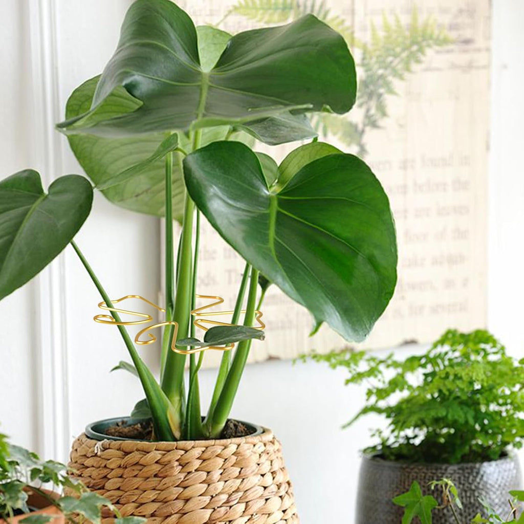 6pcs Plant Stem Support, Iron Monstera Plant Support, Plants Stem Holder Supports Butterfly Shape Bamboo Clamp Set for Outdoor & Indoor Growing Climbing Plants Stabilization and Supports