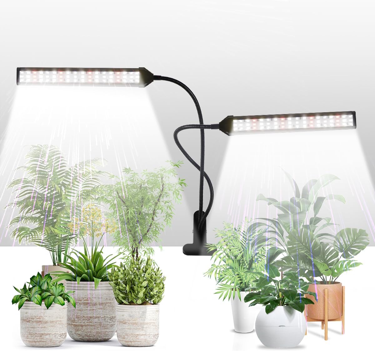 GHodec Grow Light LED Gooseneck Lamp,6500K 80W Full Spectrum 144 LED Plant Lamp Clip-on Desk for Indoor Plants Growing, Timer Setting 4/8/12/18H & 5 Dimmable Levels
