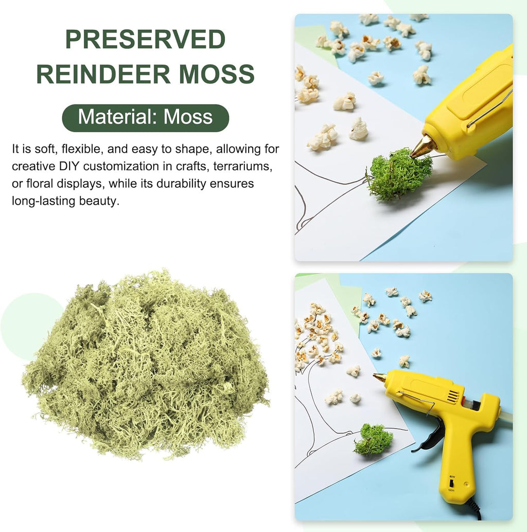 MECCANIXITY 4.6oz Preserved Reindeer Moss, Light Bright Green Decorative Artificial Fake Moss for Potted Plants Indoor Crafts Lichen Centerpieces Decor