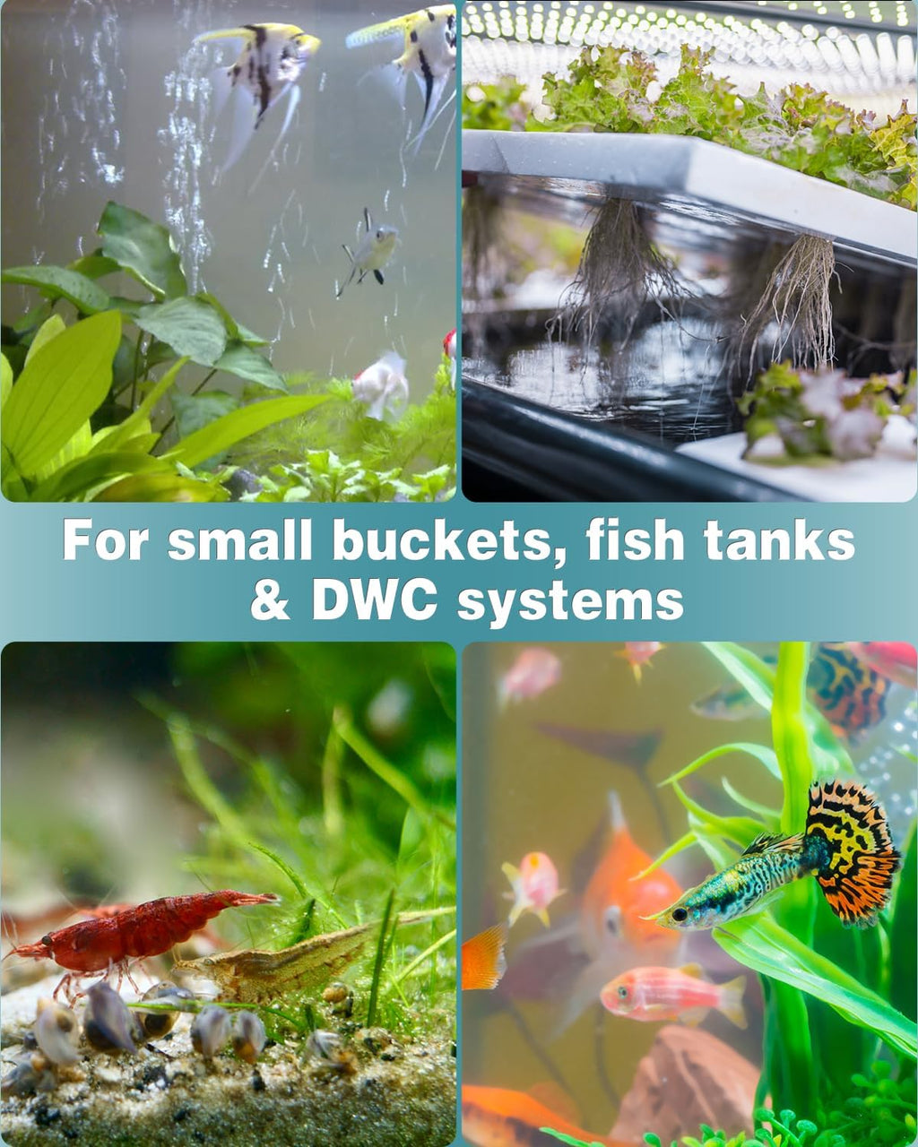 Pawfly Aquarium 0.6 Inch Air Stone Cylinder Bubble Diffuser Release Tool for Nano Air Pumps Small Buckets and Fish Tanks, 12 Pack