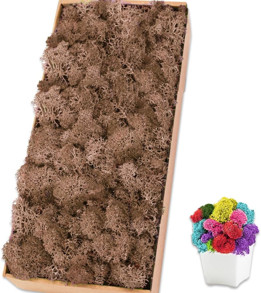 Preserved Reindeer Moss 17.6 OZ Brown Natural for Crafts, DIY Gift Christmas Decor, Wall Art, Potted Plants, Floral Fake Moss for Easter Table Decor Wedding Decorative(1.1 LB, Brown)