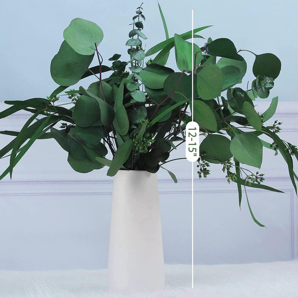 12Pcs Mixed Real Dried Eucalyptus Leaves Stems - Preserved Plant Branches, Silver Dollar Eucalyptus, Seeded Eucalyptus Bouquets for Vase Floral Arrangements Wedding Greenery Decor