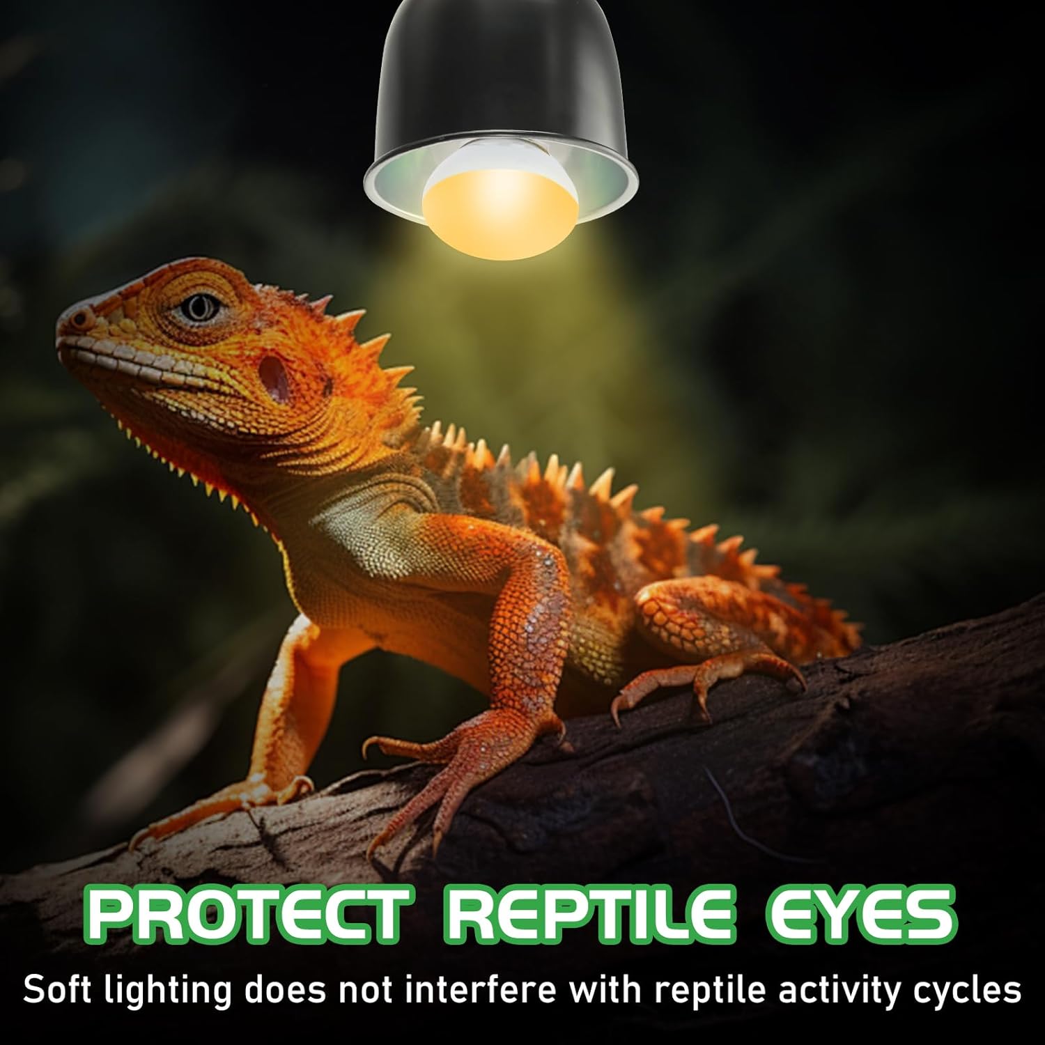 Reptile Heat Lamp Bulbs, UVA Reptile Heat Bulb 2 Pack, 25 Watt Heat Light Bulbs, Daylight Basking Spot Light for Lizard, Bearded Dragon, Snake, Gecko