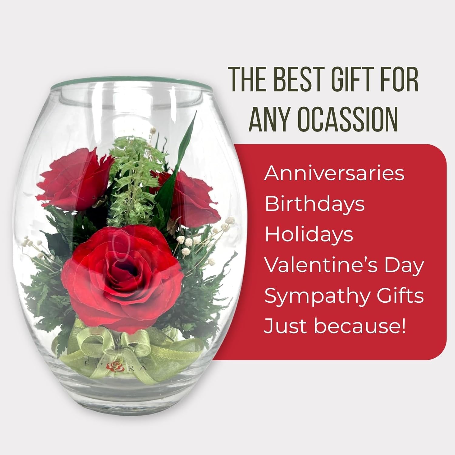Fiora Flower | Long Lasting Real Roses in a Sealed Vase | Lasts up to 5 Years | Unique Present Gift