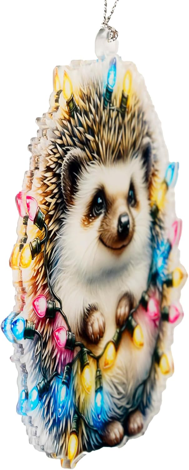 Hedgehog Christmas Ornaments 2025, Cute Funny Woodland Animal Decorations, Cute Hedgehog Ornament for Tree, Hedgehog Gifts for Women Men Kids, Unique Holiday Tree Keepsake Ornament Present.