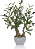 TOARTi Artificial Olive Tree Potted Plant with Stone Pot, 18.5" Tall Japanese Bonsai Tree Faux Plants Desk Plant, Realistic Greenery Decor for for Home Bedroom Bathroom Office Desk