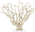 Deco 79 Polystone Coral Decorative Sculpture Home Decor Statue with Clear Acrylic Base, Accent Figurine 26" x 8" x 23", Cream