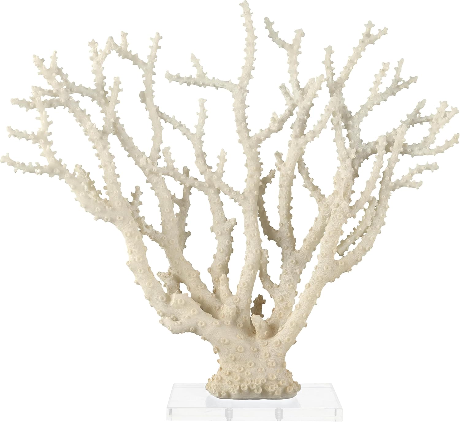 Deco 79 Polystone Coral Decorative Sculpture Home Decor Statue with Clear Acrylic Base, Accent Figurine 26" x 8" x 23", Cream