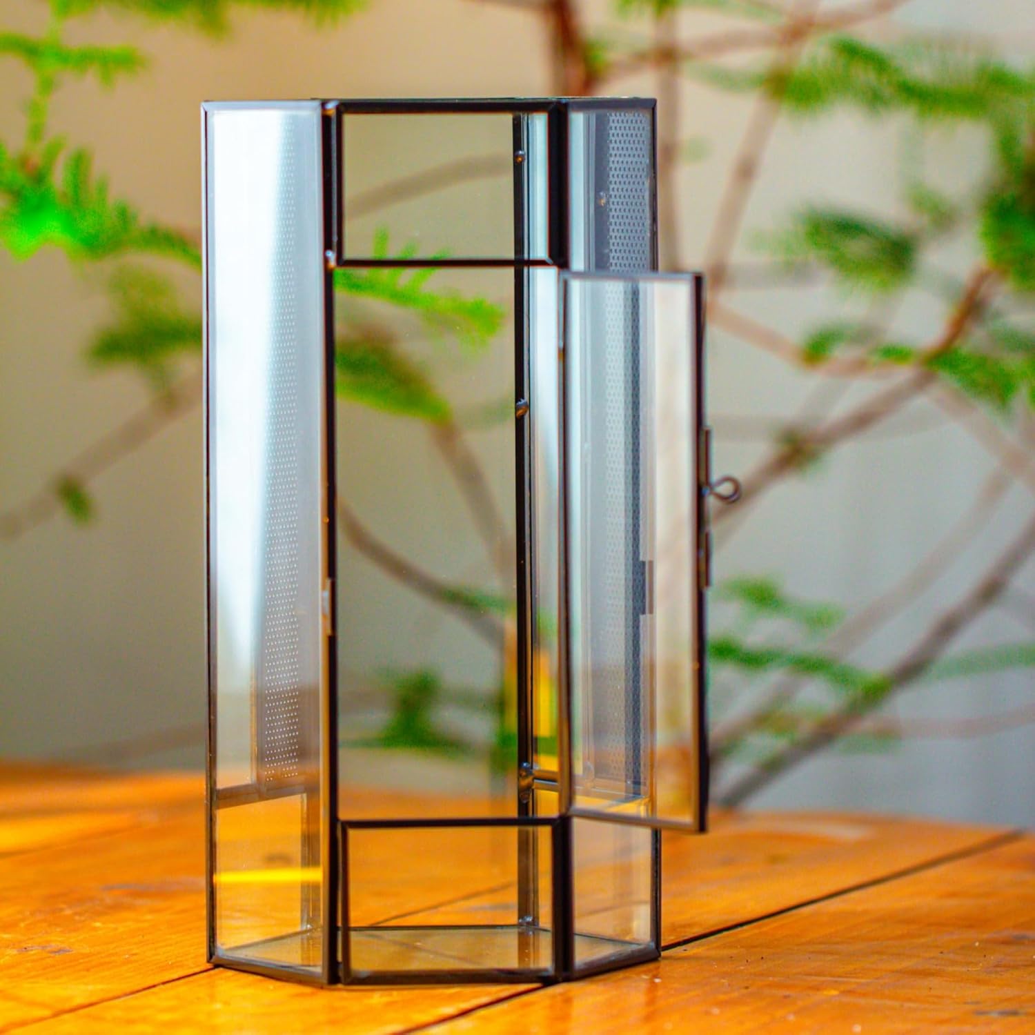 NCYP Small Glass Enclosure Terrarium with Mesh and Door for Jumping Spiders, Insects - Hexagon Shape Succulents Terrarium 4.9'' x 3.9'' x 9.4'', Tabletop Decor, Black (Plants Not Include)