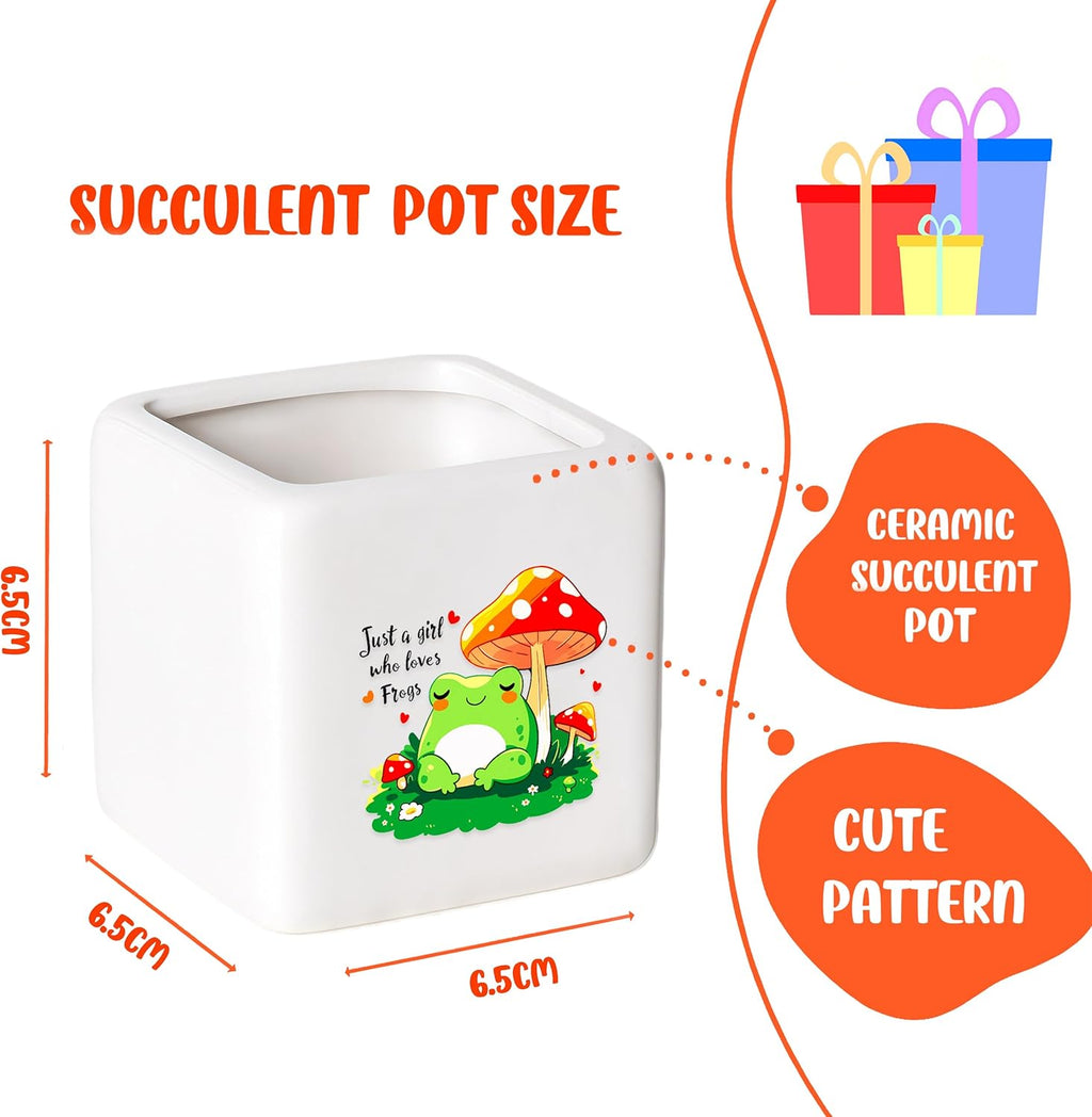 Frog Succulent Planter Flower Plant Pot Small, Gifts for Women Teens Girls Kids, Frog Lovers Themed Stuff Accessories Things Decor Merch, Home Office Table Desk Decoration!