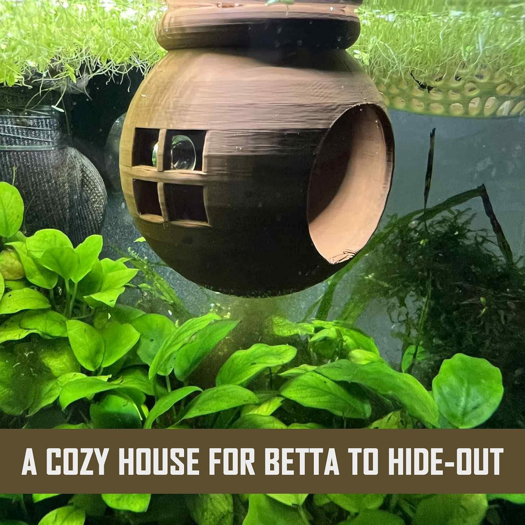 Floating Cozy Betta House, Natural Floating Betta Hide Out, Aquarium Hammock, Relaxing & Stress Relief, Suction Cup Included, 2.9" W x 2.6" H