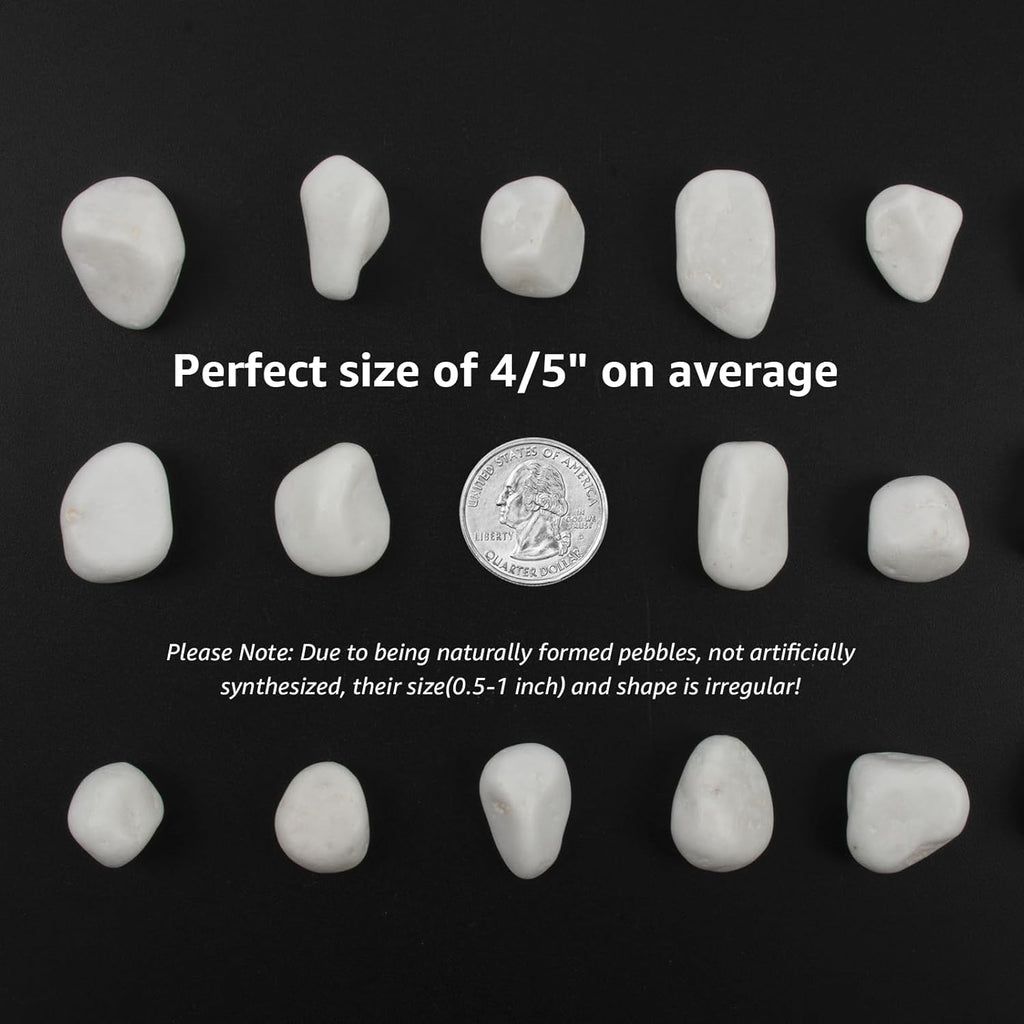 10 lbs White Polished Decorative Stones, 0.5-1 Inch Landscape Rocks for Indoor Plants, Garden, Outdoor Pathways, Vase Fillers, Pots, Glass Containers, and Craft Pro (Pure White, Weight: 10 LB)
