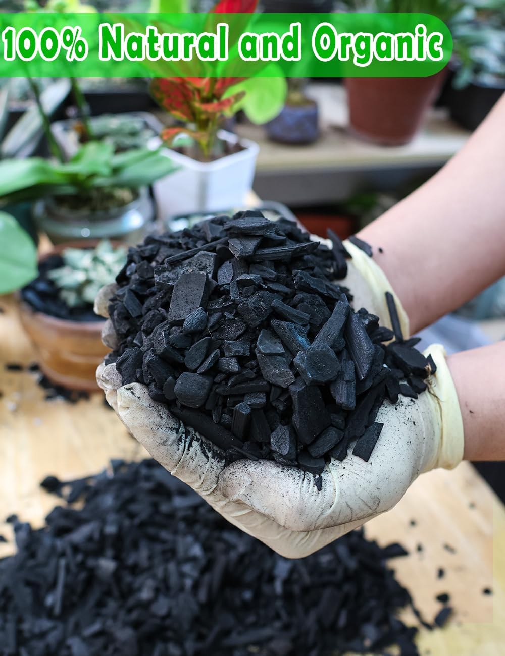 TOYPOPOR Horticultural Charcoal for Indoor Plants (3 Quarts) Hardwood Potting Soil Amendment Helps Improve Drainage for Orchids, Succulent, Cactus, Terrariums, and Gardening