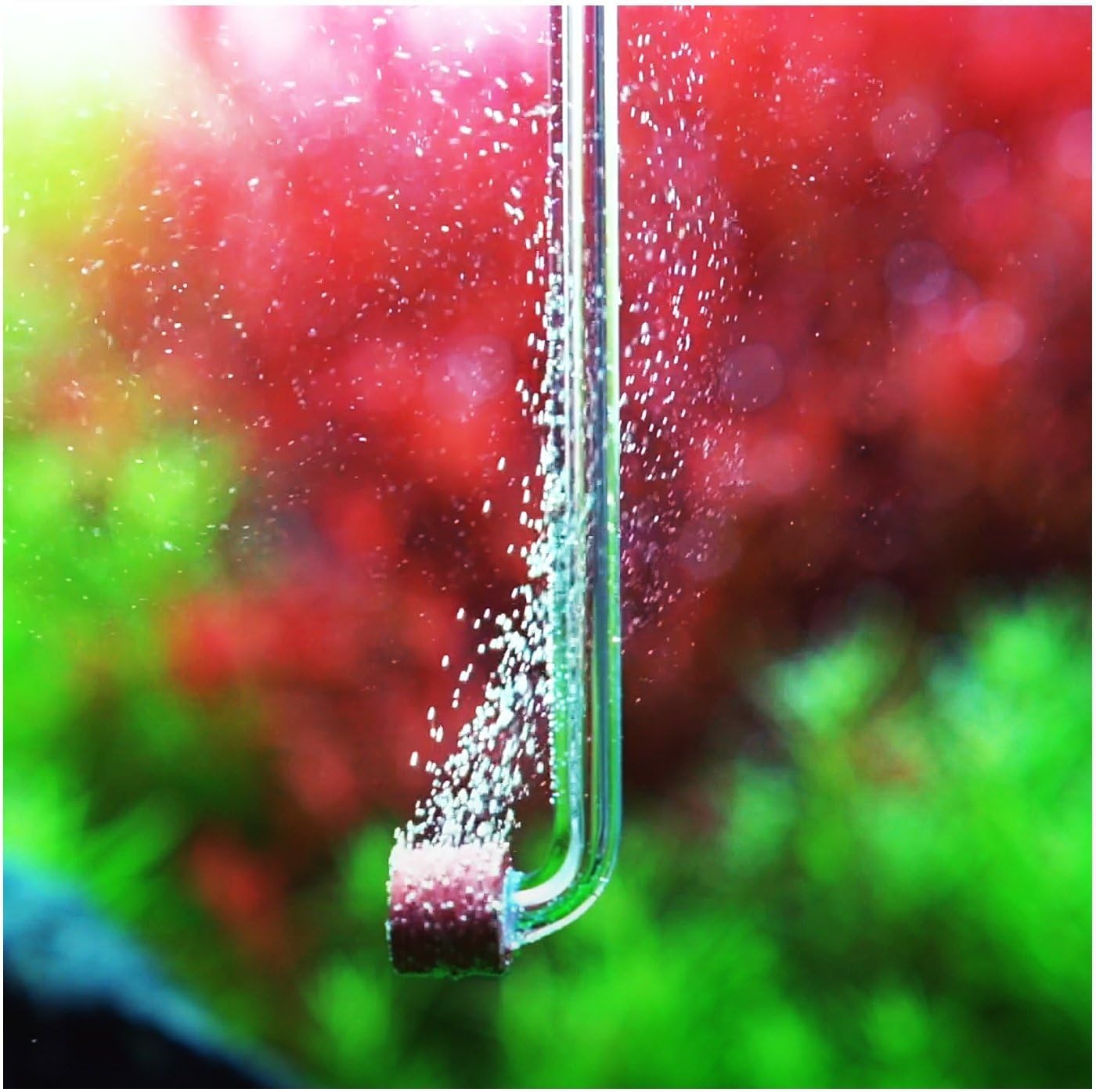 Neo CO2 Aquarium Diffuser - CO2 Diffuser Aquarium Kit, CO2 Diffuser for Aquarium Plants, CO2 System for Aquarium - Normal Diffuser, Tiny