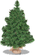 Goplus 2ft Tabletop Mini Christmas Tree, Artificial Small Christmas Tree with 67 PVC Branch Tips, Cloth Bag Base, Green Spruce Xmas Tree for Home, Office Decoration, No Assembly Required