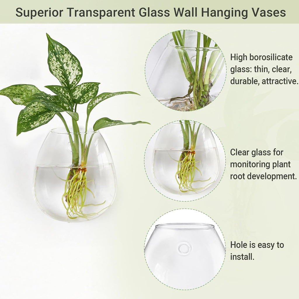 Dahey Propagation Stations Wall Hanging Planters Glass Wall Mounted Vases Oblate Terrarium for Flowers Hydroponics Indoor Plants Home Bathroom Office Decor 4 Pack
