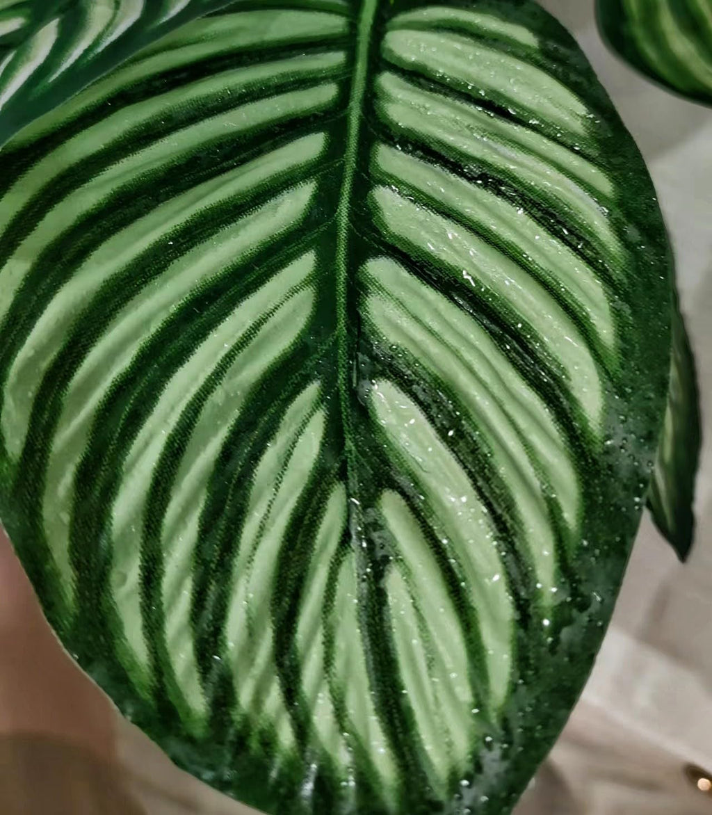 Reptile Terrarium Decor,Amphibian Habitat Decor,Artificial Plants for Crested Gecko Tank Accessories Suitable for Leopard Gecko Bearded Dragon Lizard Chameleon Snake Tortoise (Calathea makoyana-D)