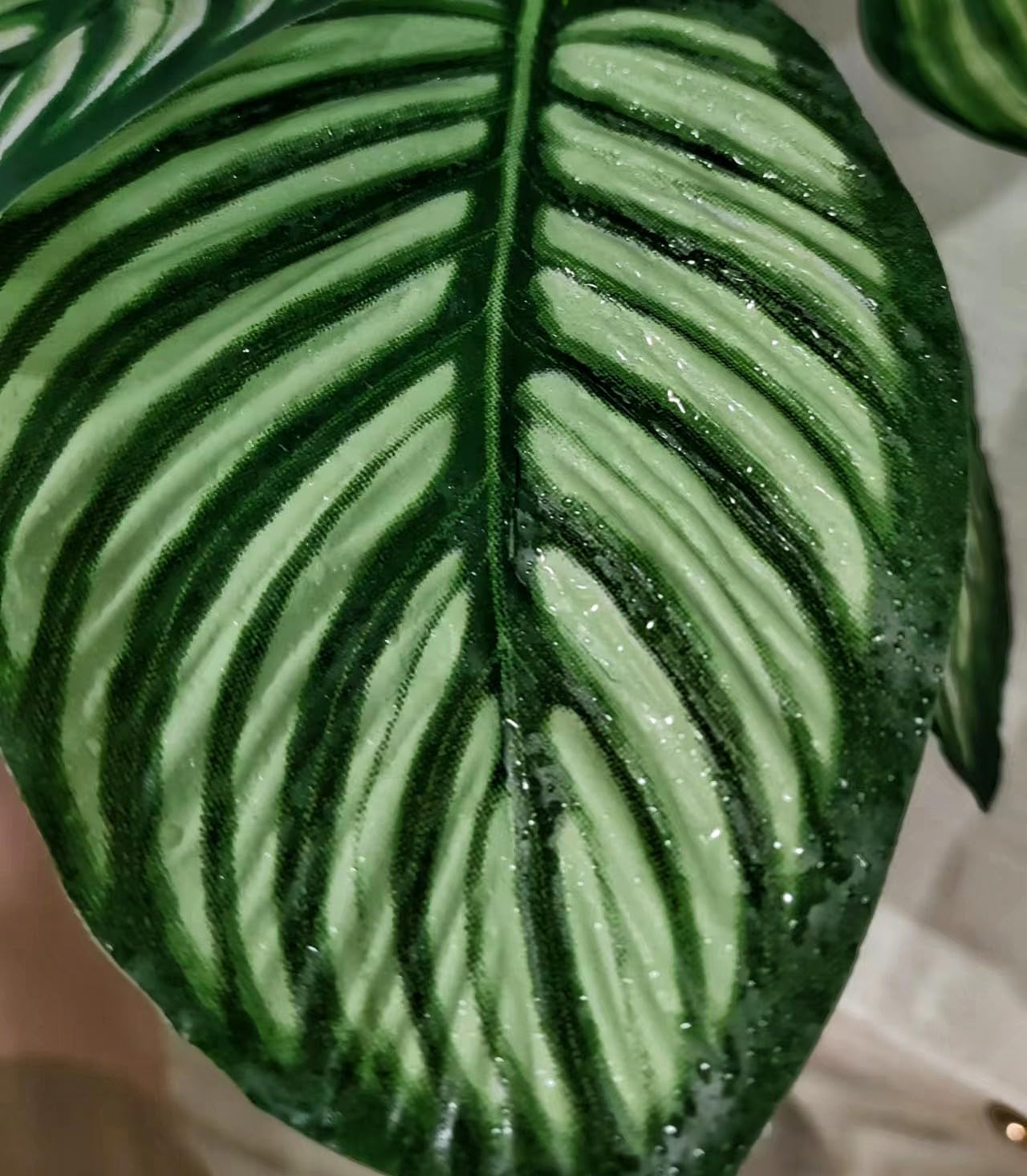 Reptile Terrarium Decor,Amphibian Habitat Decor,Artificial Plants for Crested Gecko Tank Accessories Suitable for Leopard Gecko Bearded Dragon Lizard Chameleon Snake Tortoise (Calathea makoyana-D)