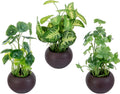 MyGift Modern Trio of Artificial Assorted Green Leaf Plants Potted in Decorative Round Brown Ceramic Pots, Faux Foliage Indoor Tabletop Houseplants, 3 Piece Set