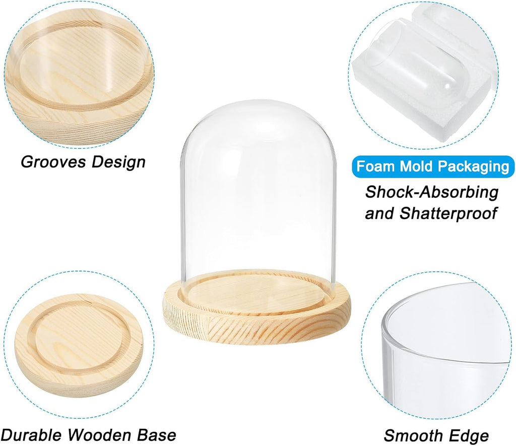 PATIKIL 5.1"x3.9" Clear Cloche Glass Dome, Glass Bell Jar Display Case Tabletop Centerpiece with Wooden Base for Plants Home Decor