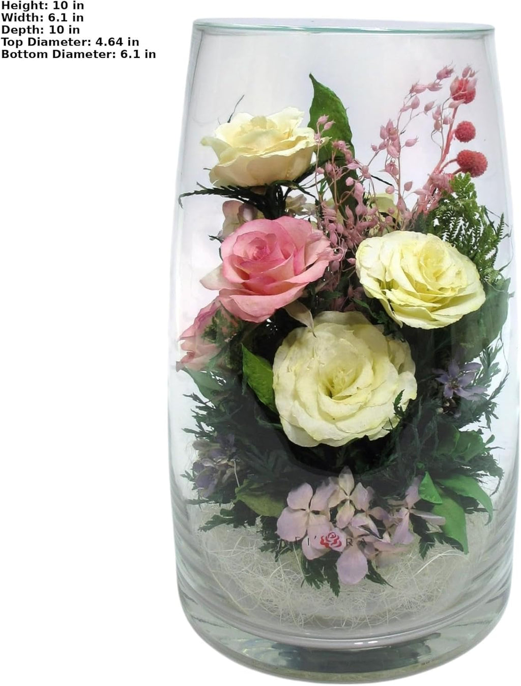 Fiora Flower | Preserved Roses & Floral Arrangement in Sealed Glass Vase | Lasts up to 5 Years | Elegant Gift for Weddings, Birthdays, and Anniversaries (Peach)