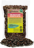 GARDENERA Monstera Obliqua Potting Soil - Enhanced Aeration and Drainage for Optimal Growth by Gardenera - 3 Quart