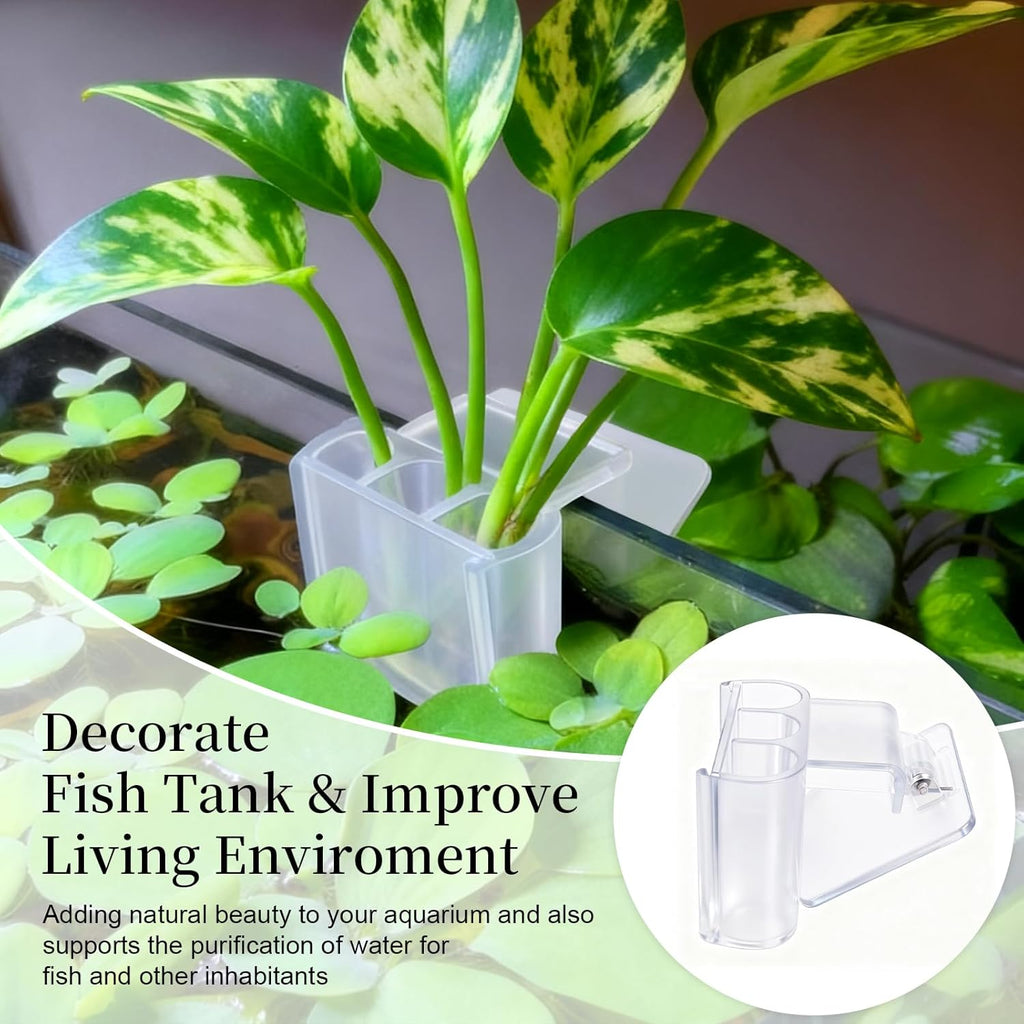 2 Pack Hanging Aquarium Plant Holder – 3 Holes Aquatic Plant Cups, Fish Tank Holder for Aquatic Plants, Ideal for Aquarium Tank Decoration(Transparent)