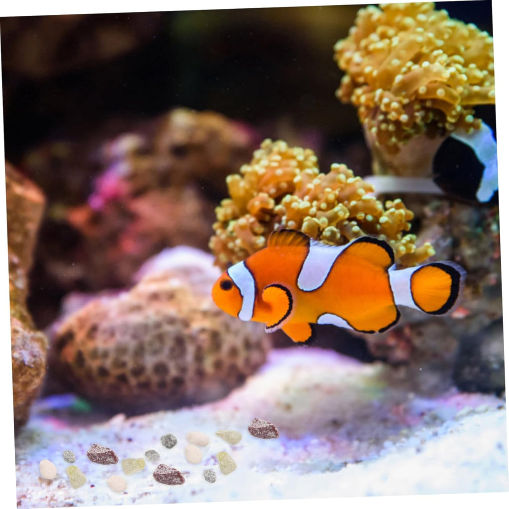 Happyyami Black Sand Aquarium Gravel Substrate Realistic Tank Stone Decor for Small Fish Tanks