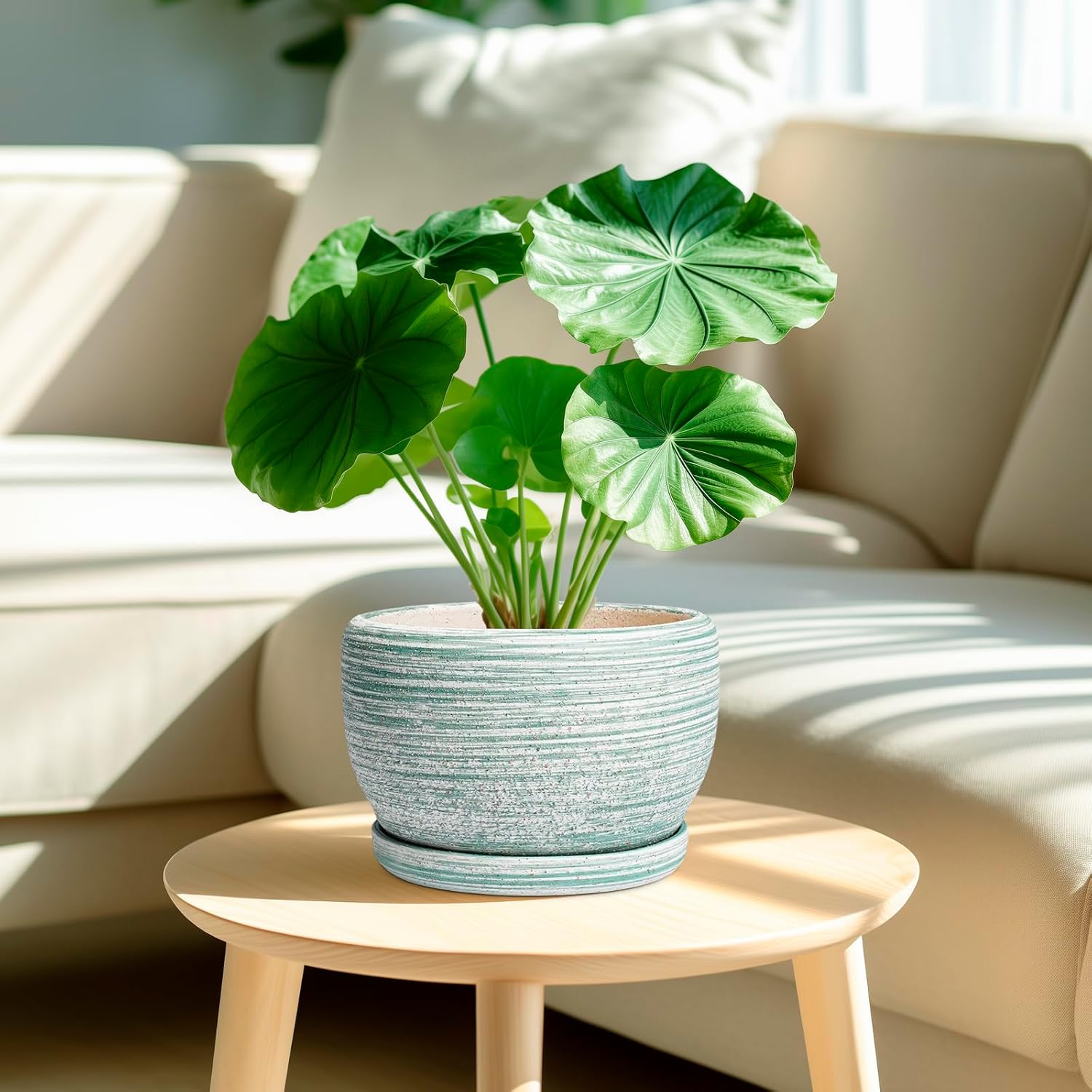 SQOWL Ceramic Planters for Indoor Plants - 8 inch Plant Pot Outdoor, Ceramic Flower Pot with Drainage Hole and Saucer, Round Modern Planter, Living Room Apartment Decor, Birthday Gifts, Green
