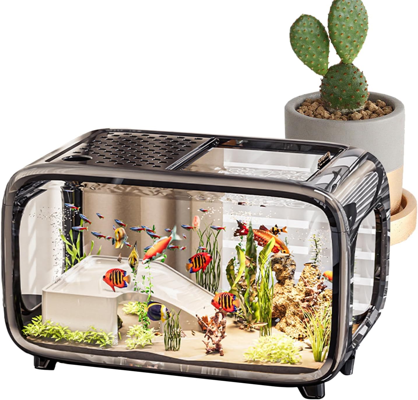 Desktop Aquarium - Clear Fish Tank, Small Aquatic Landscape, Acrylic Container | Betta Habitat for Snails, Shrimp, Aquatic Plants, Turtle, Mini Fish, Home Office, Desk Decoration, Small Pets, Water