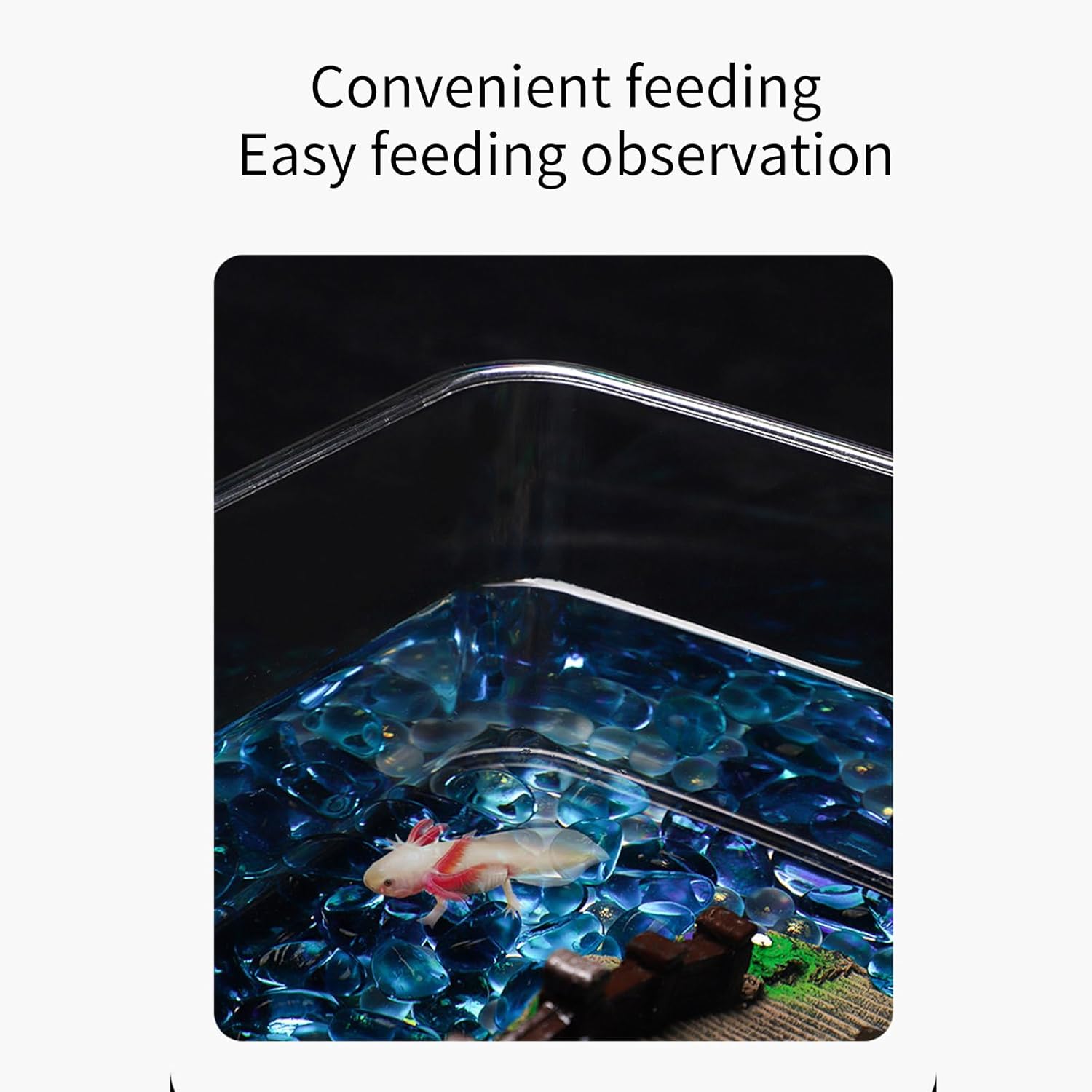 Clear Acrylic Fish Tanks Large Capacity Aquariums for for Axolotls, Newts Clear Acrylic Aquariums Tanks