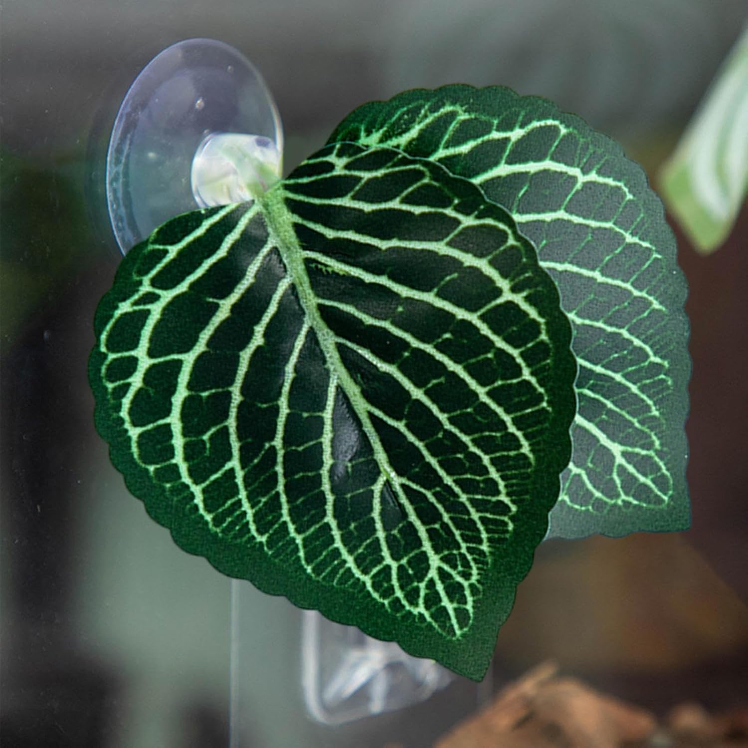 Betta Bed Leaf Hammock - Realistic Aquarium Leaf Pad, Lightweight Breeding and Spawning Resting | Fish-Tank Accessory for Supporting Betta Rest, Breeding, and Relaxation During Home Aquariums